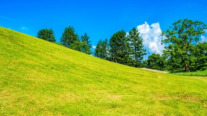 【夏】入道雲が浮かぶ草原の丘
