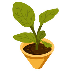 Potted Plant 