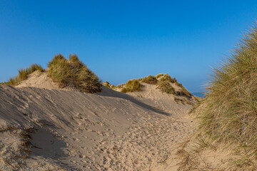 Marram grass covered sand dunes at Formby in Merseyside