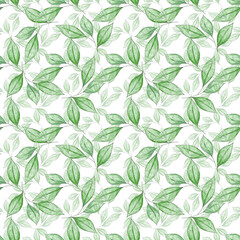 Seamless watercolor leaf pattern. A hand-drawn botanical illustration. For the design of things, wrapping paper, decoupage, covers, fabric, postcards, invitations and etc. Isolated on white background