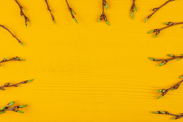 Branches with young leaves on a yellow wooden background (copy space).