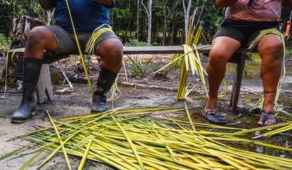 Non recognizable native american couple cutting leaves to obtain plant fiber for handicraft....