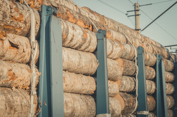 Transportation of timber by rail. Railway special freight car loaded with logs. Timber export from...