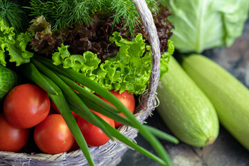 Fresh vegetables for salad in a basket. Tomatoes and cucumbers with zucchini and cabbage with dill. Spring harvest, benefits and vitamins. On a dark background.