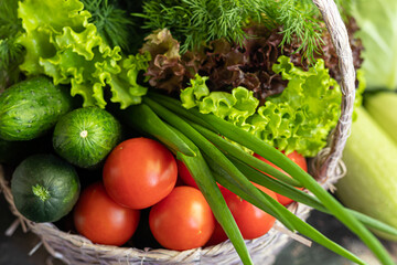 Fresh vegetables for salad in a basket. Tomatoes and cucumbers with zucchini and cabbage with dill. Spring harvest, benefits and vitamins. On a dark background.