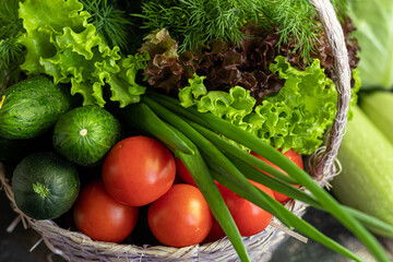 Fresh vegetables for salad in a basket. Tomatoes and cucumbers with zucchini and cabbage with dill. Spring harvest, benefits and vitamins. On a dark background.
