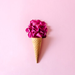 Violet petals arranged in an icecream cone on a pink backgorund. Regreshing floral summer desert concept.
