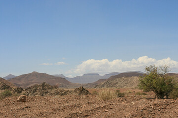 Arid landscape in Namibia