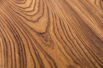 Texture of tree stump for background. Rough organic texture of tree annual rings