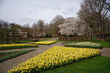 Jardin hollandais