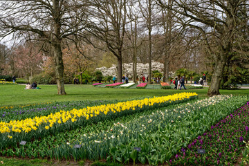 Jardin Keukenhof près d'Amsterdam