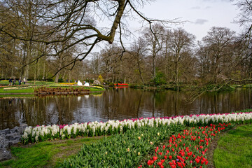 Lac dans un jardin public