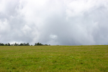 Fototapeta na wymiar Pasture on the plateau with clouds in the background
