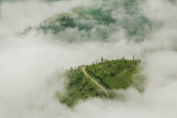 fog in the mountains