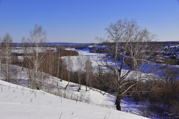 A birch forest on the March snow of the Spasskaya Mountain
