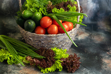 Fresh vegetables for salad in a basket. Tomatoes and cucumbers with zucchini and cabbage with dill. Spring harvest, benefits and vitamins. On a dark background.