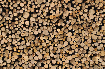 heap of wooden logs background