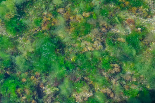 Water Surface And Sea Ground Abstract Green Wallpaper. Ecology, Earth Day Concept With Copy Space