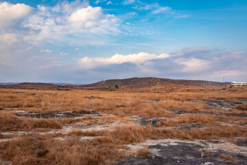 yellow grass field with dramatic sky at morning from different angle