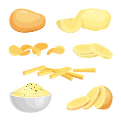 Peeled whole potato, raw sliced potatoes, french fries, chips. Puree bowl or plate. Vector illustration isolated on white background.