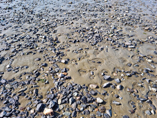 Fototapeta na wymiar close up Seaside beach with pebbles.