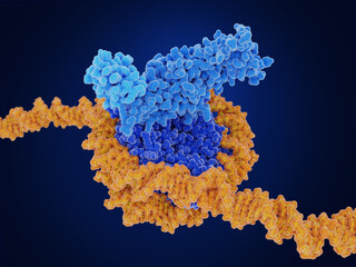 Epigenetics: DOT1L methylates a histone of a ubiquitinated nucleosome