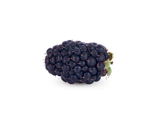 blackberry fruit isolated on white background