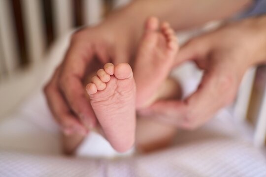 little baby feet in mother's hands. one leg in the foreground in focus. newborn, motherhood, happiness