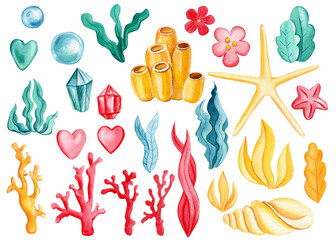 Set sea elements, starfish, algae, bubbles, coral on an isolated white background. Watercolor drawing