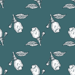Seamless pattern engraved lemon on branch with leaves. Vintage background lime growing on twig in hand drawn style.