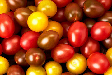 Fototapeta na wymiar Cherry tomatoes of various colors. Healthy food