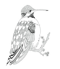 Golden bee-eater on a cherry branch.