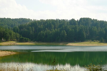 lago sila alberi