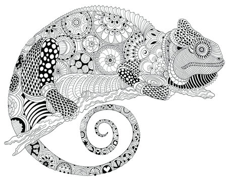 Vector illustration of a black and white image of a chameleon. Hand drawn in zentangle style for t-shirt or tattoo design. anti stress coloring book with wildlife.