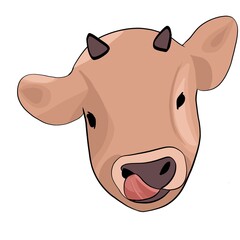 Calf baby cow flat picture