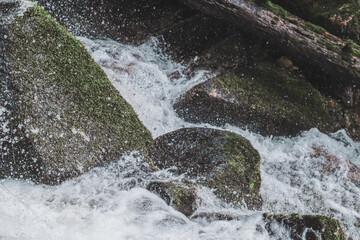 Torrent ruisseau cascade de montagne dans la forêt