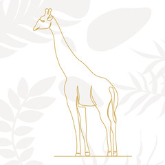 giraffe continuous line drawing, sketch, on abstract background vector