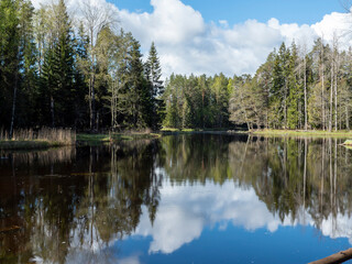 Fototapeta na wymiar Calm lake reflection in springin a sunny day.