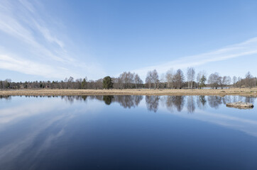 Obraz premium Calm lake reflection in springin a sunny day.