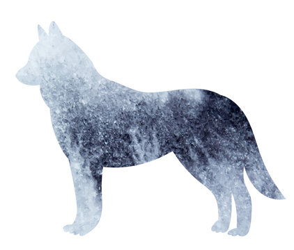 wolf watercolor silhouette, on white background, isolated, vector
