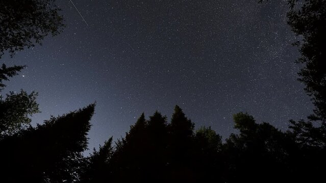 Night to morning stars milky way timelapse. Silhouette of pine trees. Planes and satellites passing by sky