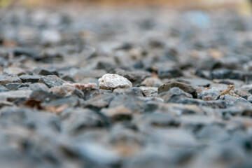 Area paved with stones of many colors, Blur rocks background.