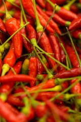 Pimenta-malagueta é uma variedade de Capsicum frutescens muito utilizada em Angola, Cabo Verde, Brasil, Moçambique e Portugal.
