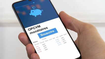 OPCVM monétaire, organisme de placement collectif en valeurs mobilières investir part fonds gestion collective SICAV, FCP, sicav, fcp trésorerie, opcvm Sicav court terme francais
