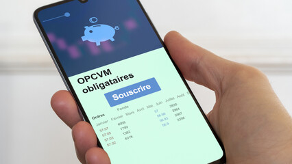 Souscrire à un OPCVM, demander à bénéficier d'un dispositif de réduction l'impôt opcvm.  Défiscalisation par placement à risque. organisme de placement collectif en valeurs mobilières 