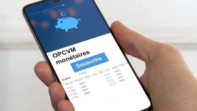OPCVM mon&eacute;taire, organisme de placement collectif en valeurs mobili&egrave;res investir part fonds gestion collective SICAV, FCP, sicav, fcp tr&eacute;sorerie, opcvm Sicav court terme francais