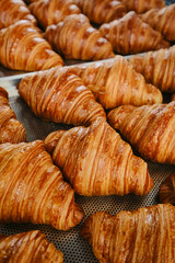 Hand takes fresh golden French croissant from the baking sheet. Fresh classic pastries. High quality photo