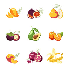 Vector set of ripe juicy fruits. Mango, fig, pear, avocado, persimmon, pomegranate, bananas. Isolates on a white background for decoration