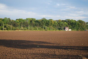 brown field, trees and sky
