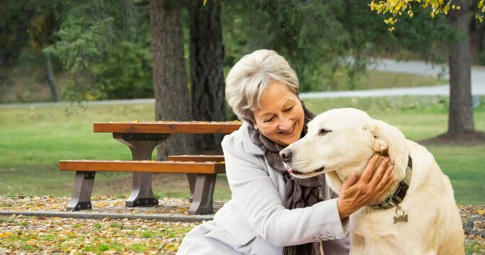 Animation of happy senior caucasian woman with dog over park